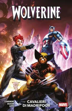 Volume cover